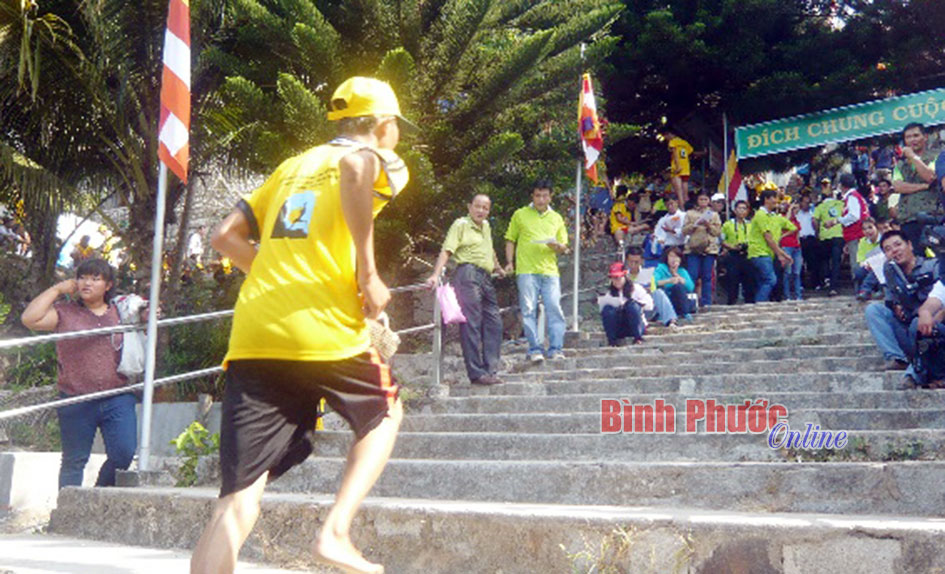 M&ugrave;a xu&acirc;n T&agrave; C&uacute;