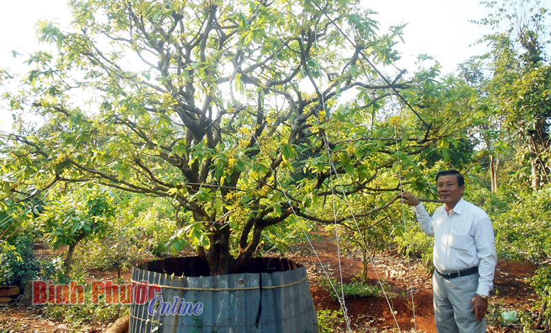 Chi hội sinh vật cảnh xã Long Tân: Nỗ lực trở thành hội nghề nghiệp      