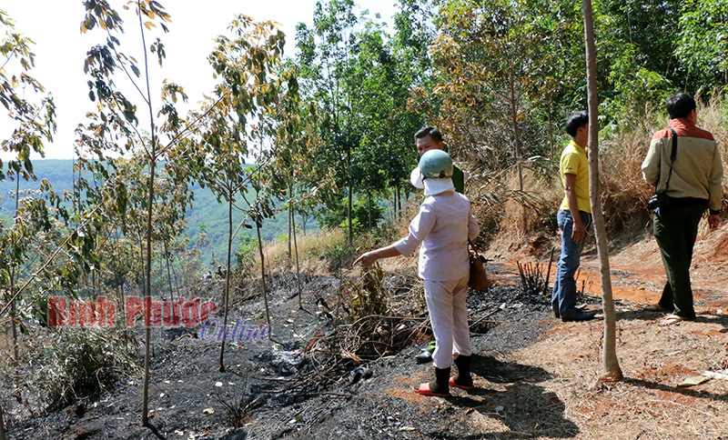 Cảnh báo cháy vườn cây trong mua khô
