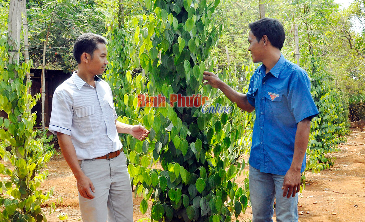 Nét mới trong hoạt động đoàn ở xã Bù Gia Mập
