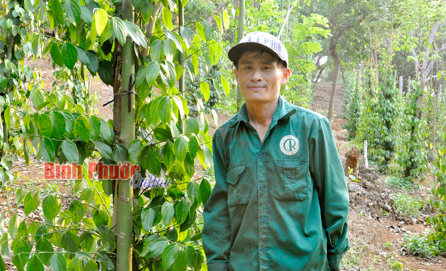Bí thư chi đoàn năng động