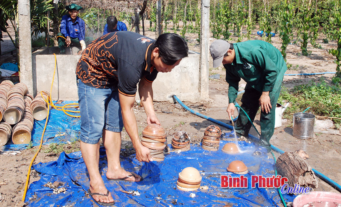 Hiệu quả từ mô hình thanh niên tình nguyện ở Tân Lập