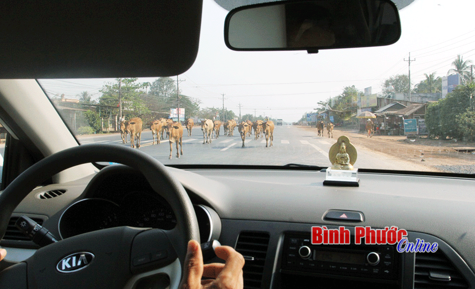 &ldquo;Ngh&ecirc;nh ngang&rdquo; tr&ecirc;n QL13