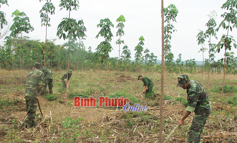 Bình Phước có nguy cơ cháy rừng ở cấp cực kỳ nguy hiểm