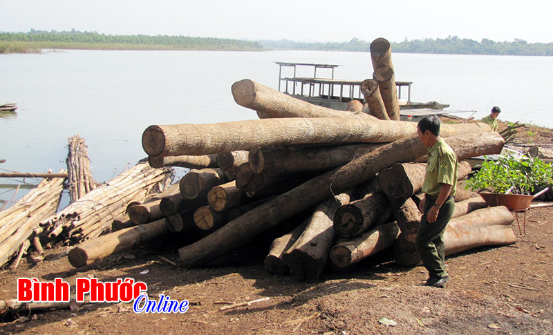 B&ugrave; Đốp: Ph&aacute;t hiện, xử l&yacute; 68 vụ vi phạm ph&aacute;p luật về rừng