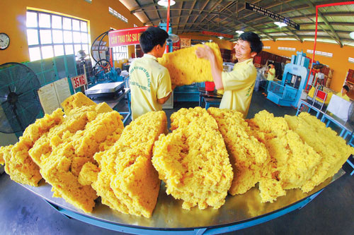 Thổ Nhĩ Kỳ quan tâm tới tiềm năng cao su Việt Nam