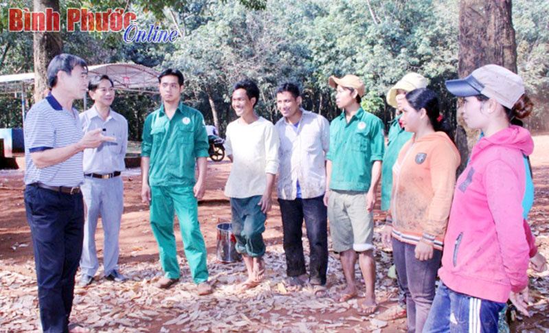  “Gắn bó với cao su là có cơm no, áo ấm”