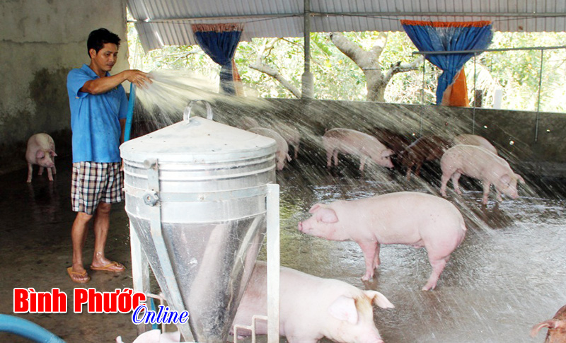 Chuyện nhà nông vay vốn (Bài 1)