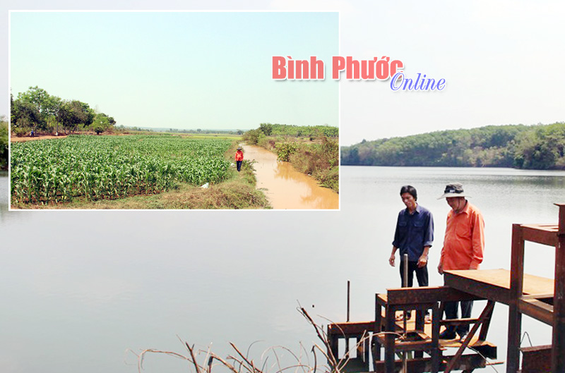 Giải cứu đại hạn từ nguồn nước thủy lợi