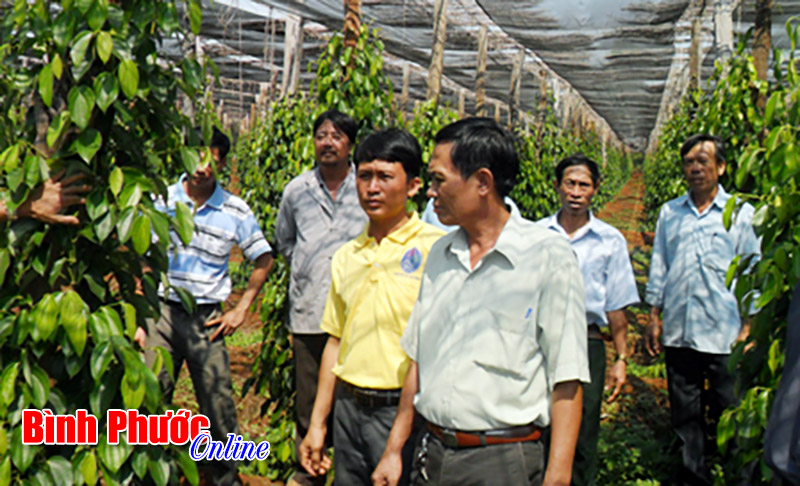 Đổi thay ở huyện Bù Gia Mập