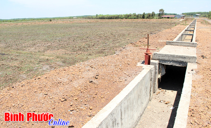 Nước đến chân sẽ không nhảy kịp