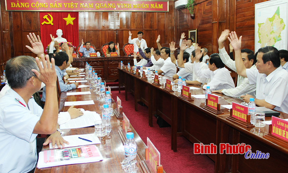 UBND tỉnh giới thiệu 5 người ứng cử đại biểu HĐND tỉnh