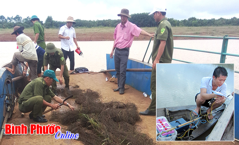 Hệ lụy từ khai thác tận diệt ở hồ Thác Mơ (Bài 1)