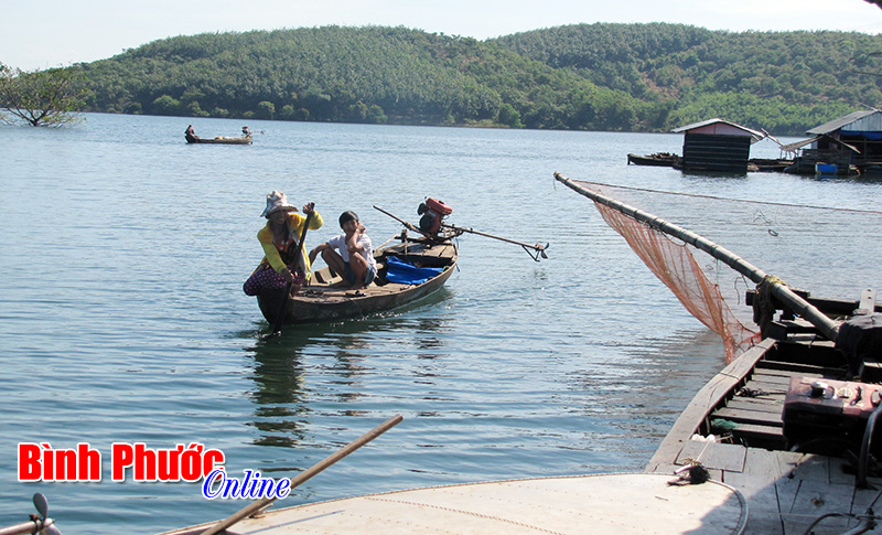 Hệ lụy từ khai thác tận diệt ở hồ Thác Mơ (Bài cuối)