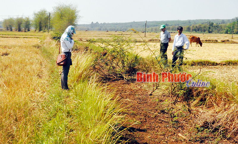 Đối mặt với El Nino (Bài 4)