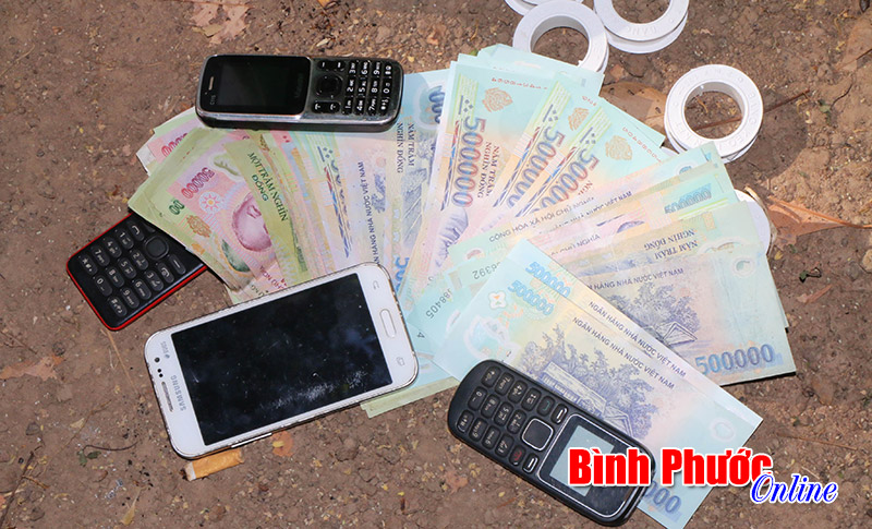 Hớn Quản: Ph&aacute; tụ điểm đ&aacute; g&agrave; ăn tiền