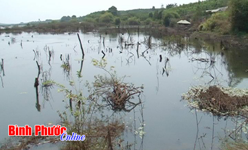 Huyện ủy B&ugrave; Đốp kiểm tra thực tế chống hạn