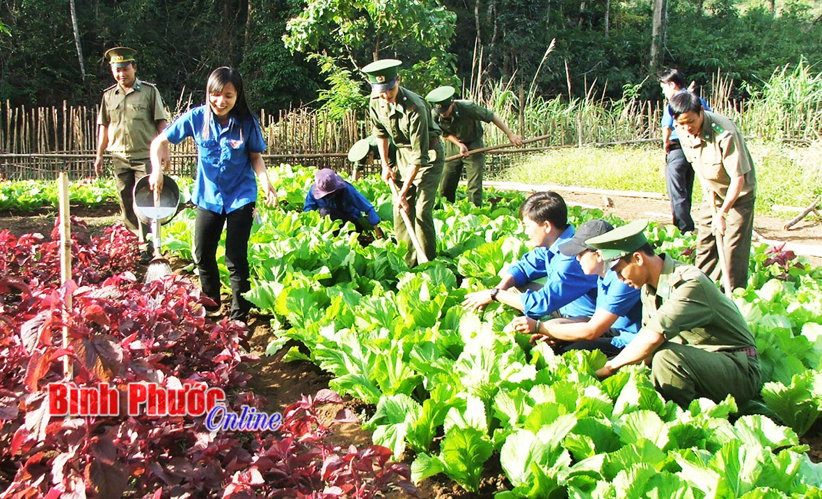 Tổ chức cho quần ch&uacute;ng tham gia giải quyết c&aacute;c vụ việc phức tạp xảy ra tr&ecirc;n tuyến bi&ecirc;n giới