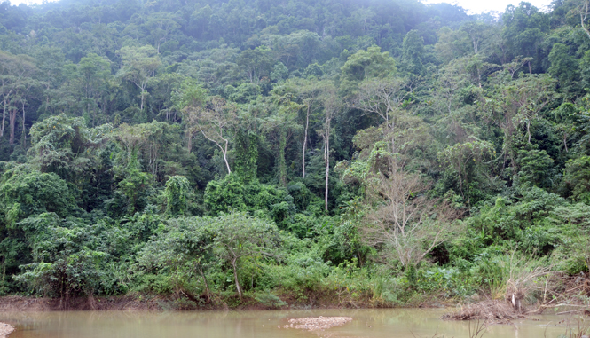 Chuyển đổi đất, rừng phòng hộ đầu nguồn ít xung yếu phải phù hợp kế hoạch sử dụng đất 2016-2020