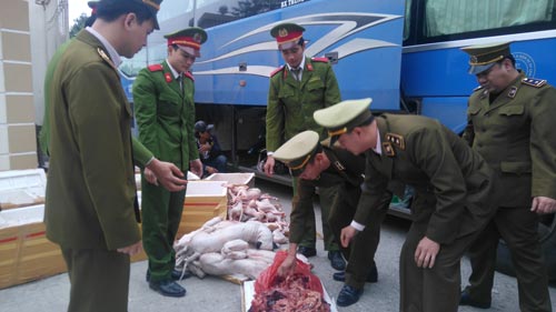 Phát hiện gần 1 tấn thịt chó, mèo và nội tạng bẩn trên xe khách
