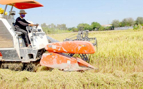 Xuất khẩu gạo 2016: Tín hiệu tốt từ đầu năm