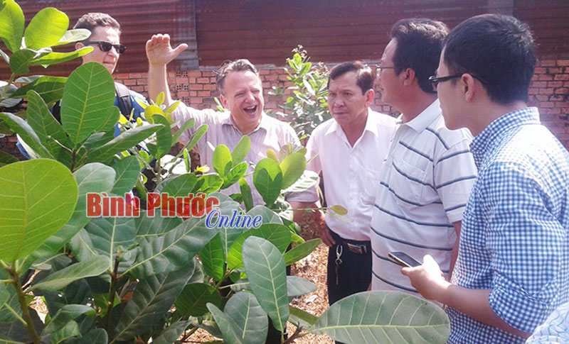 Đoàn chuyên gia dự án Hỗ trợ phát triển chỉ dẫn địa lý Việt Nam khảo sát vùng điều Đoàn Kết