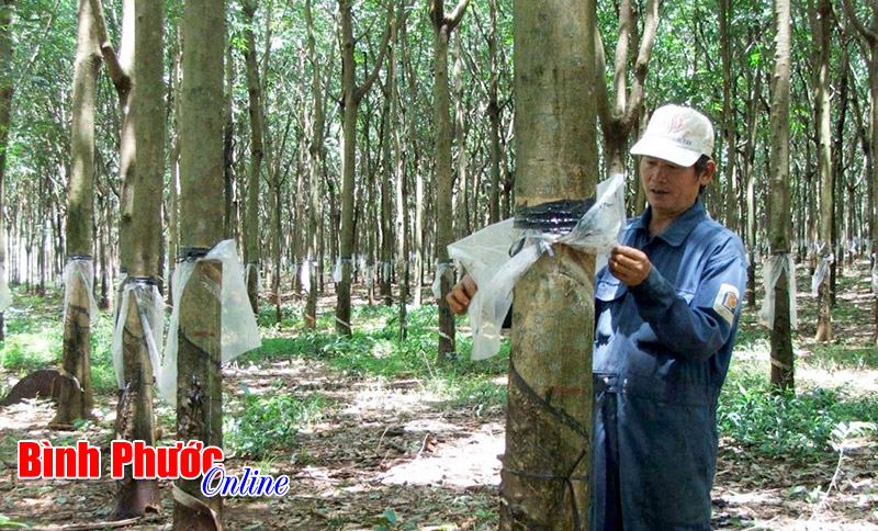 Chỉ thanh tra khi ph&aacute;t hiện c&aacute;c doanh nghiệp, c&aacute; nh&acirc;n c&oacute; dấu hiệu vi phạm