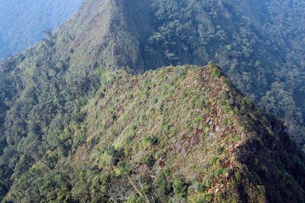 Chiêm ngưỡng vẻ đẹp sống khủng long núi Tà Xùa