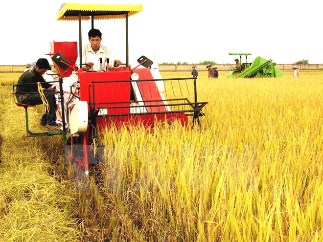 Khoa học công nghệ: “Chìa khóa vàng” của ngành nông nghiệp