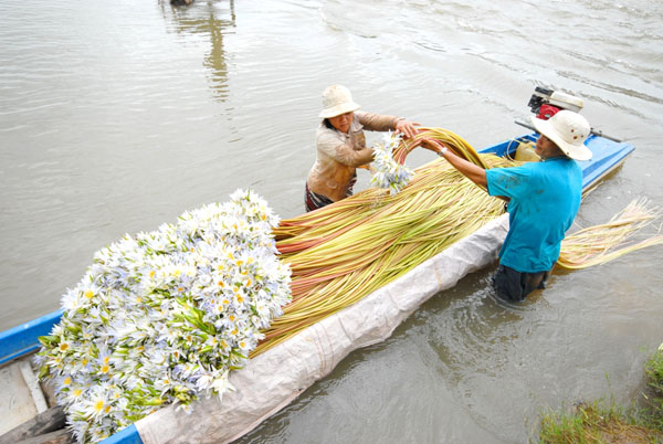 Phim tài liệu- Miền Tây mùa nước nổi