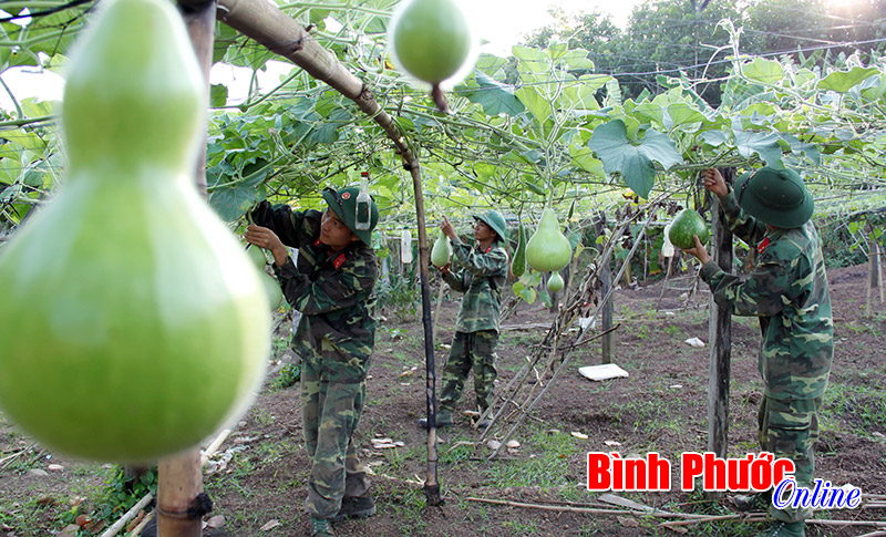 N&acirc;ng cao chất lượng hậu cần trong LLVT