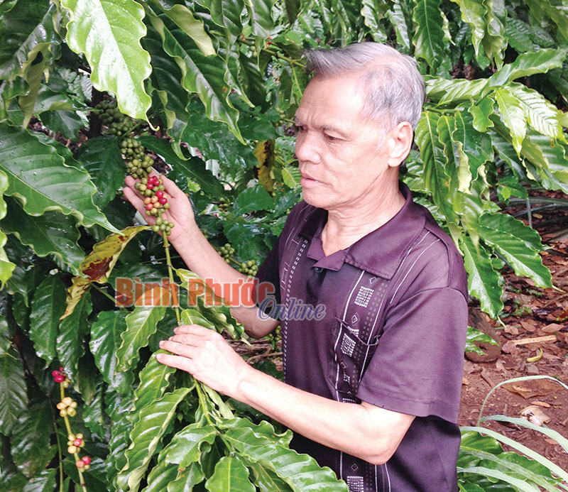 Ng&agrave;y xu&acirc;n thăm cựu t&ugrave; Ph&uacute; Quốc