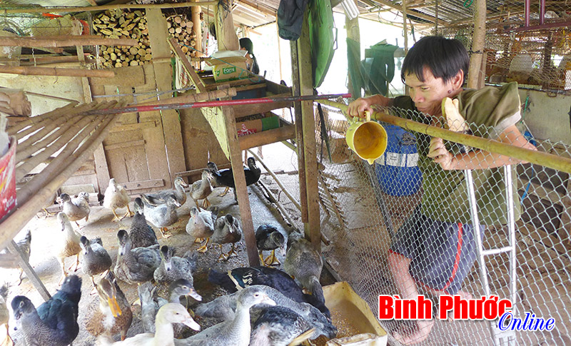 Nghị lực của người đàn ông khuyết tật