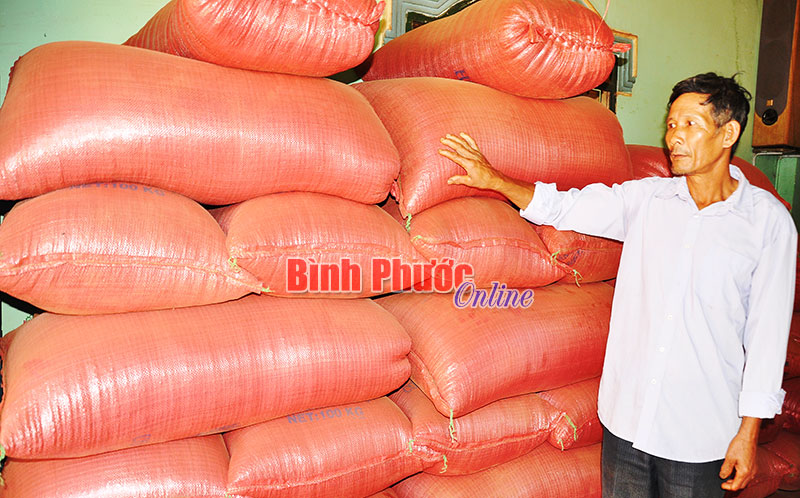 Người trồng cà phê ở Bom Bo “ngậm đắng”!