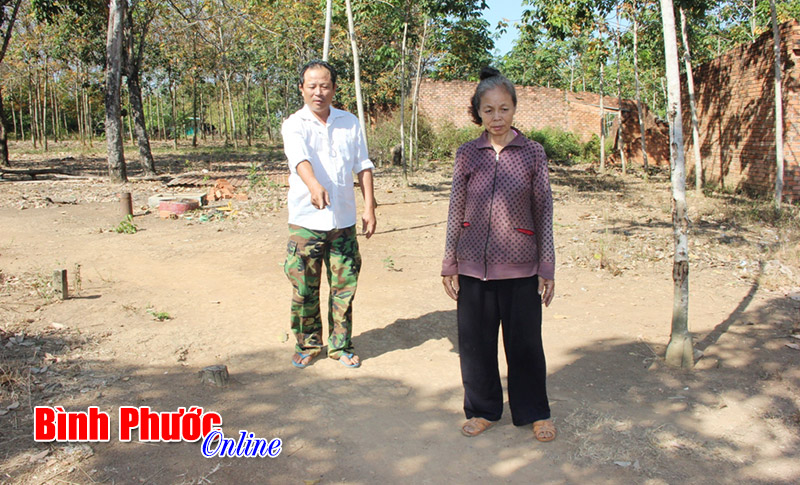 Nhiều khuất tất trong vụ tranh chấp đất ở x&atilde; Tiến Th&agrave;nh