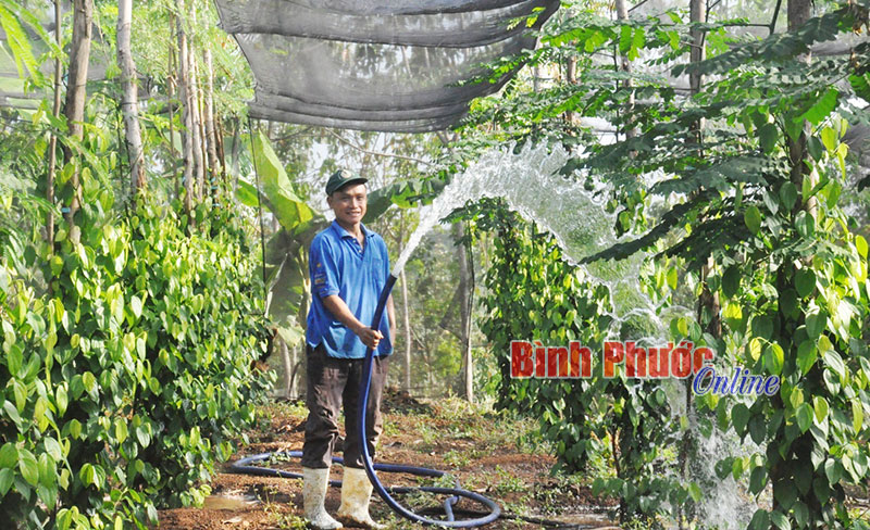 Nhịp sống những ngày đầu năm mới