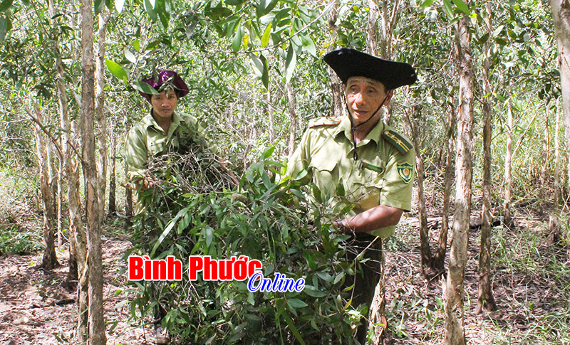 Nỗ lực trong phòng cháy, chữa cháy rừng mùa khô