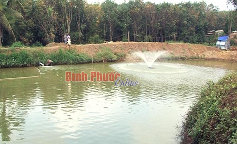 Đất ít thì nuôi cá