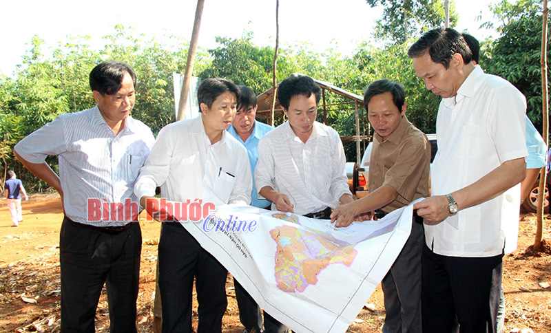 Ph&oacute; b&iacute; thư Tỉnh ủy L&ecirc; Văn Ch&acirc;u kiểm tra diện t&iacute;ch trồng cao su tạo quỹ ASXH