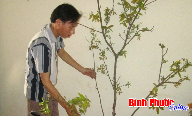 Xuân của những công nhân xa quê