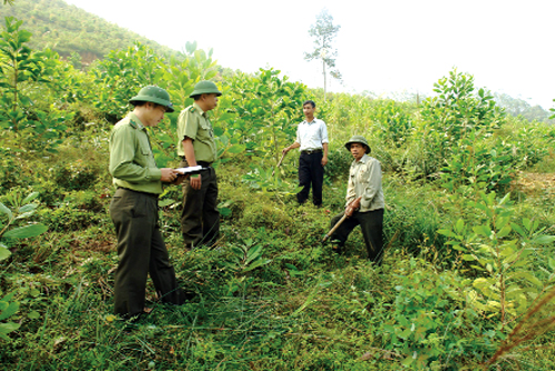 B&ugrave; Đăng xử phạt 37 vụ vi phạm quản l&yacute; bảo vệ rừng