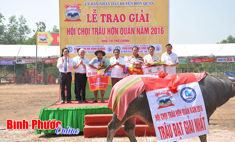 Sôi nổi hội chọi trâu Hớn Quản lần thứ 3/2016