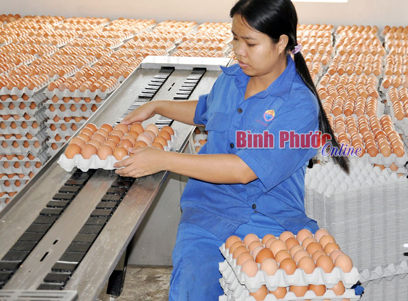 Tái cơ cấu - Vấn đề sống còn của ngành nông nghiệp