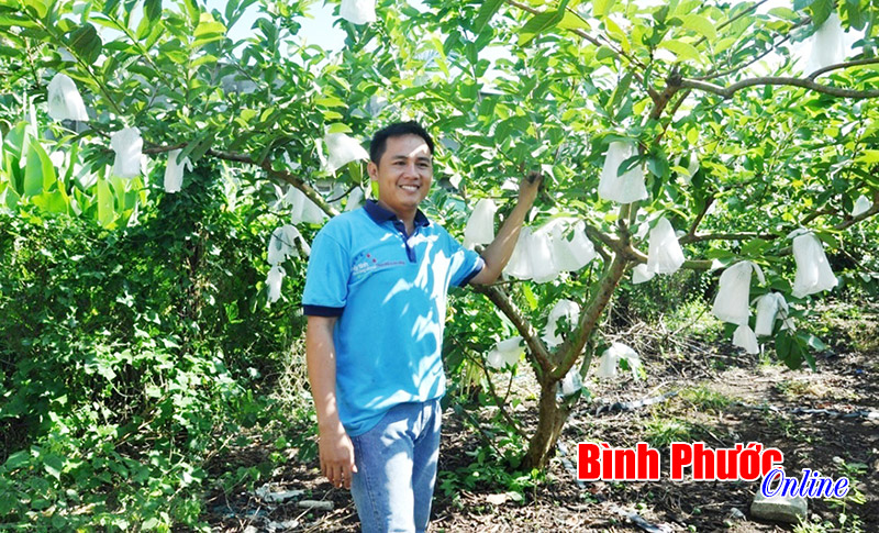 Thanh niên Lộc Hiệp giúp nhau phát triển kinh tế