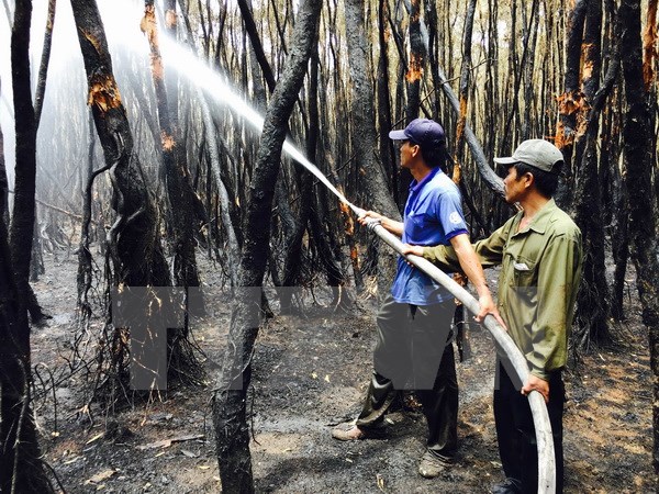 Đang xảy ra cháy rừng thuộc khu vực Vườn quốc gia Hoàng Liên