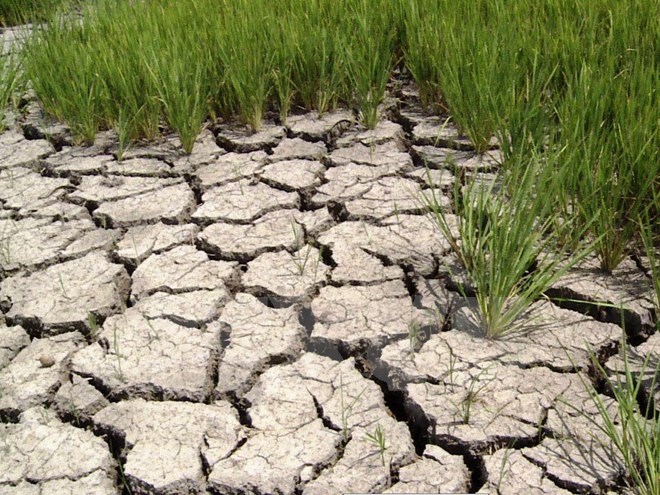 Việt Nam kêu gọi quốc tế hỗ trợ nhân đạo ứng phó với hạn, mặn lịch sử