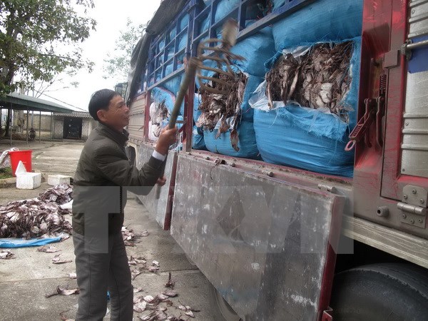 Bắt giữ xe tải chở hơn 20 tấn mực v&agrave; c&aacute; kh&ocirc; bốc m&ugrave;i h&ocirc;i thối