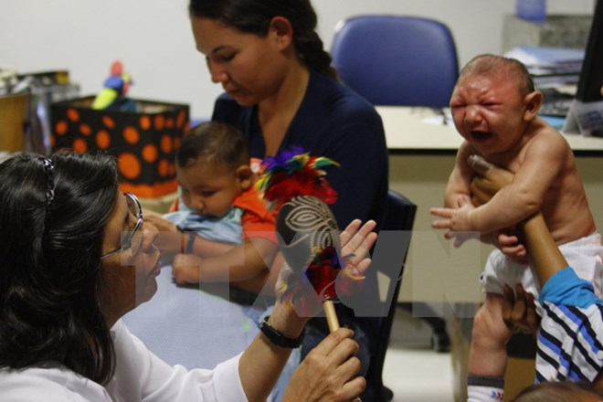 WHO xác nhận hàng nghìn người nhiễm virus Zika ở châu Mỹ