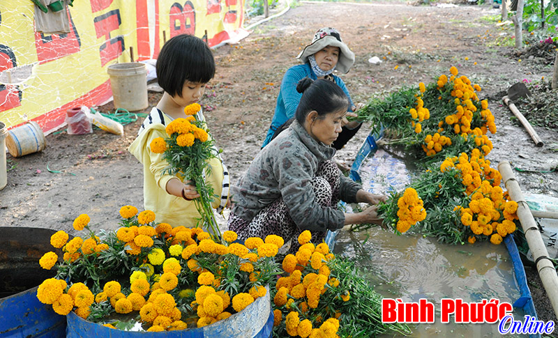 Vai trò của gia đình trong xã hội hiện nay