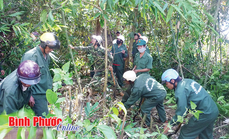 ​Vườn quốc gia Bù Gia Mập nỗ lực phòng, chống cháy rừng